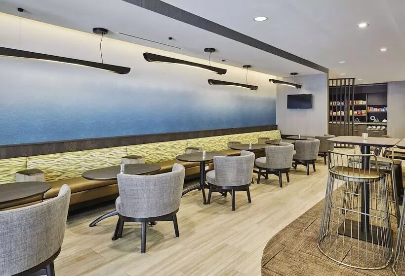 هتل Springhill Suites By Marriott Chicago Chinatown