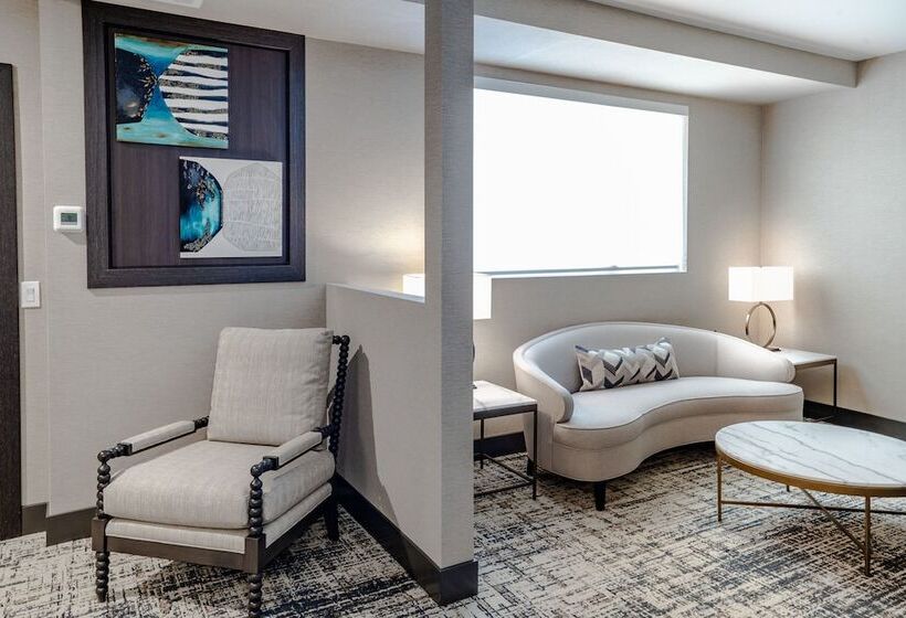 فندق Springhill Suites By Marriott Chicago Chinatown