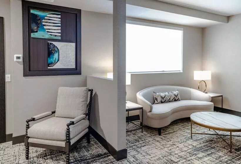 هتل Springhill Suites By Marriott Chicago Chinatown