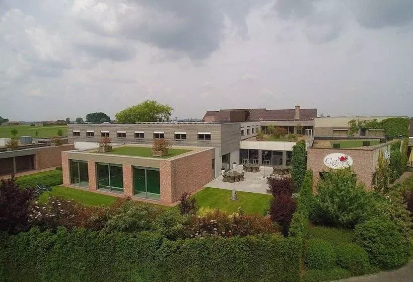 Отель Callecanes