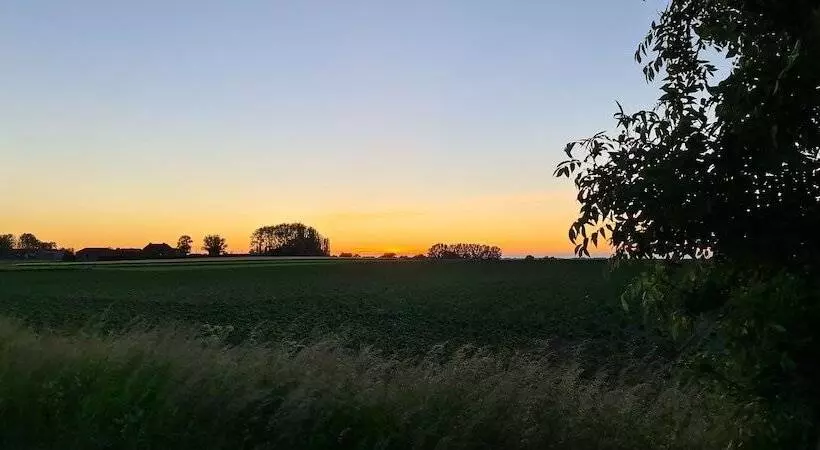 Отель Callecanes