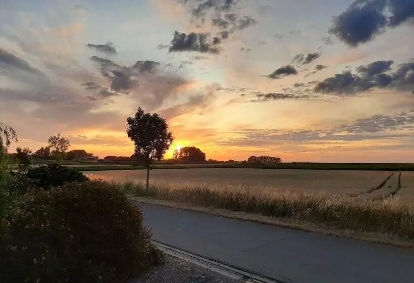 Отель Callecanes