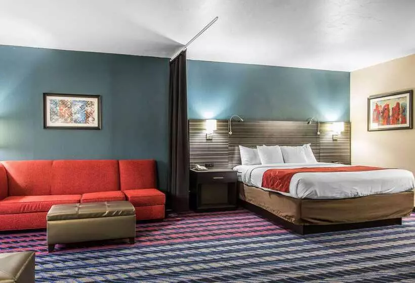 酒店 Comfort Suites Fairgrounds West