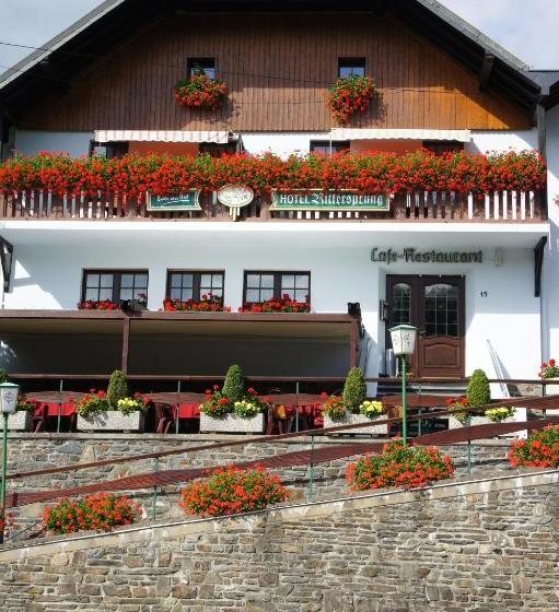 فندق Rittersprung