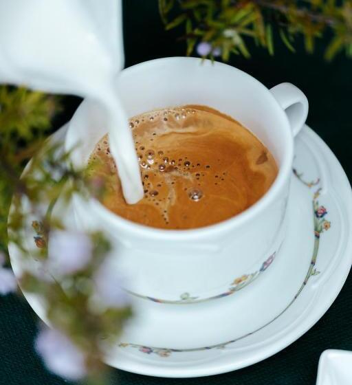 هتل روستایی La Solana Montañesa