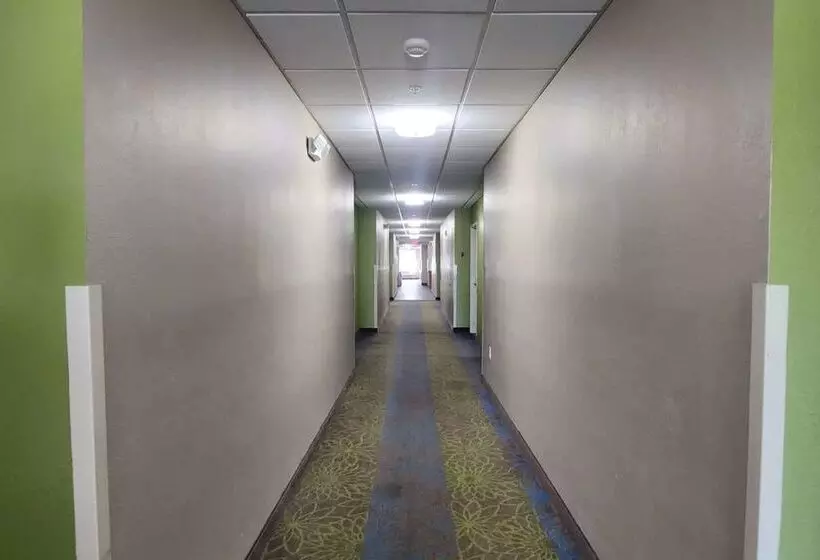 酒店 Clarion Pointe Lakeland I 4