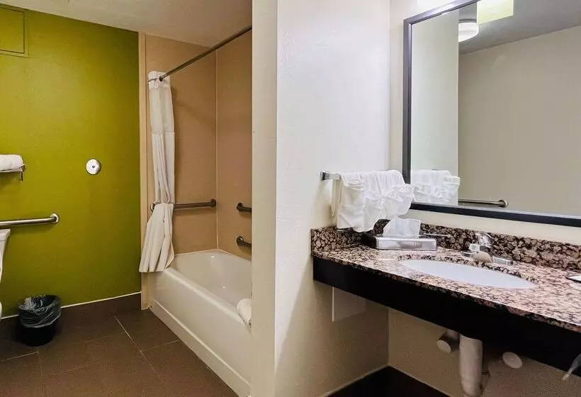 酒店 Clarion Pointe Lakeland I 4