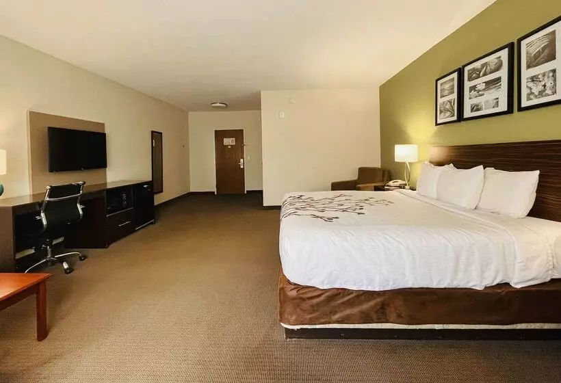 酒店 Clarion Pointe Lakeland I 4