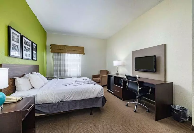 酒店 Clarion Pointe Lakeland I 4