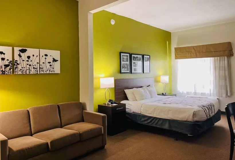 酒店 Clarion Pointe Lakeland I 4