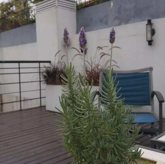 Telmho Hotel Boutique