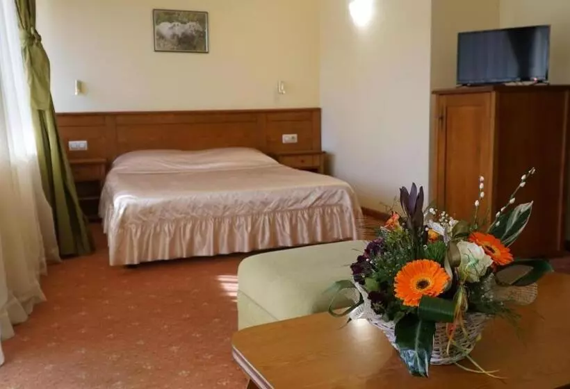 Отель Troyan Plaza