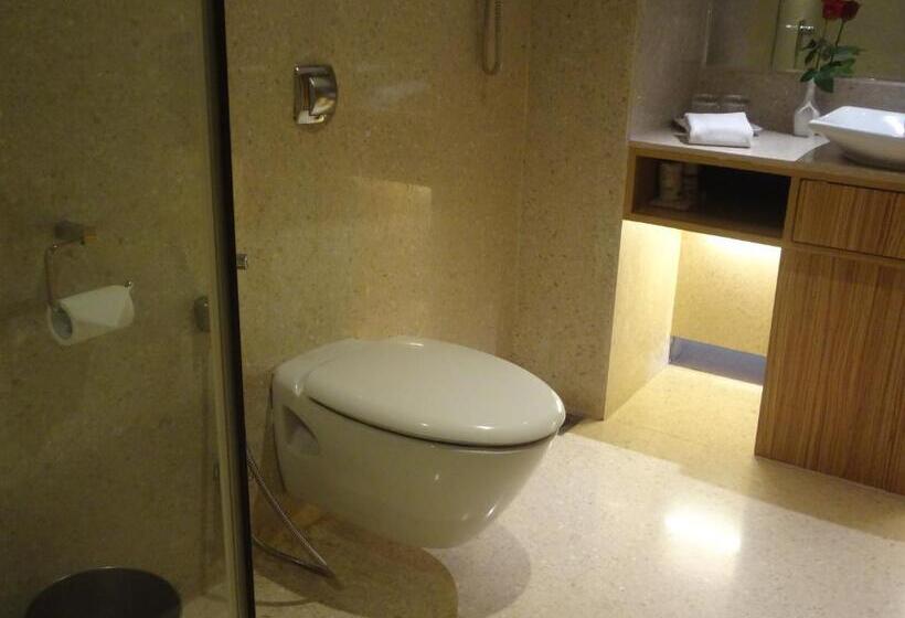 Pride Plaza Hotel, Ahmedabad