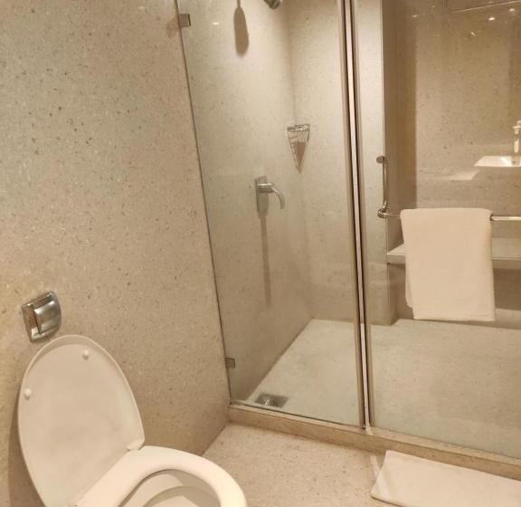 Pride Plaza Hotel, Ahmedabad