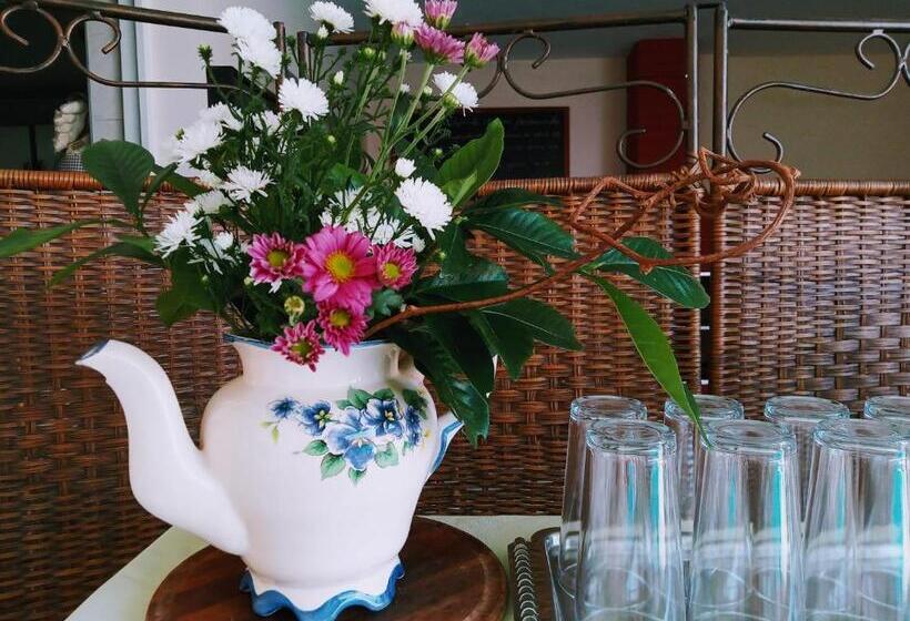 旅馆 Pousada Bem Te Vi