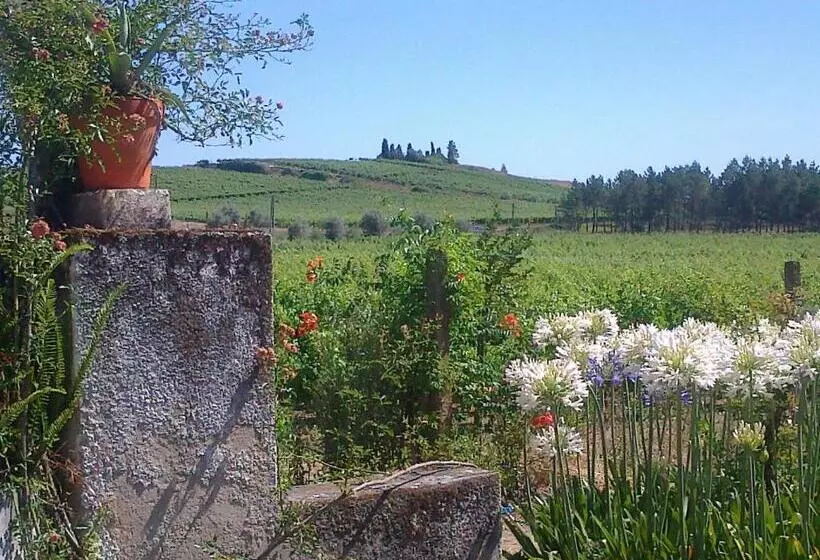 Aamiaismajoitus (B&B) Quinta No Pinhal