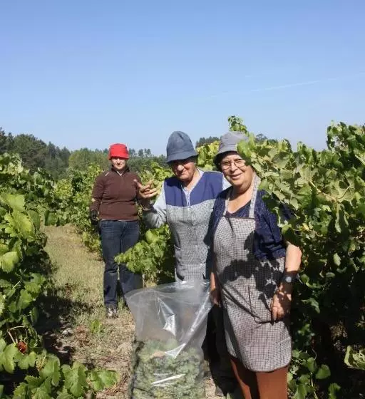 Aamiaismajoitus (B&B) Quinta No Pinhal