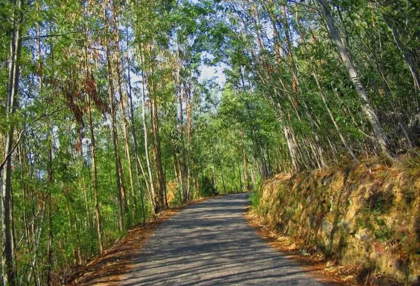 Aamiaismajoitus (B&B) Quinta No Pinhal