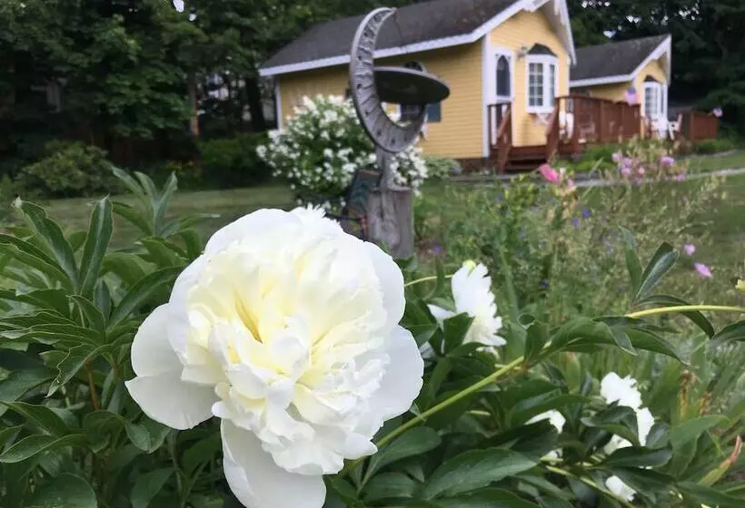 Hotelli Sand Bar Cottage Inn