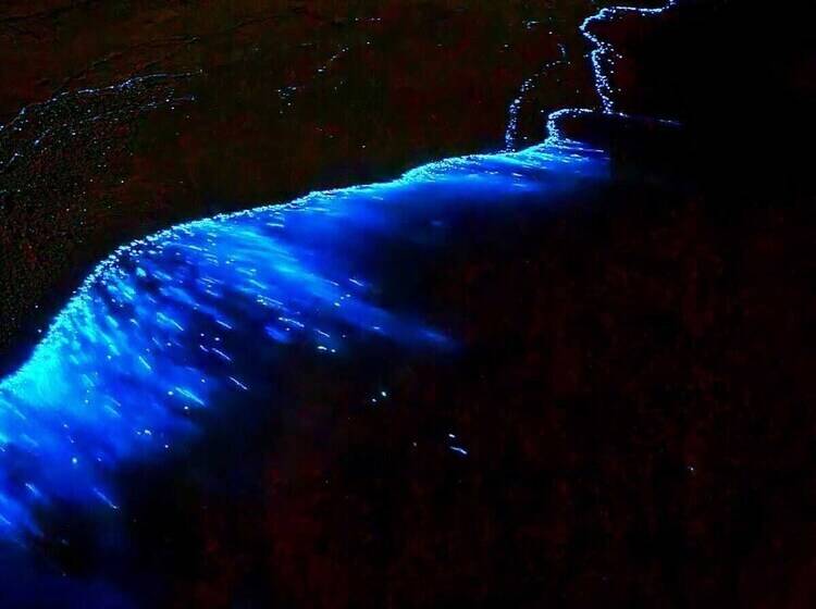 پانسیون Ocean Pearl Maldives At Gulhi Island