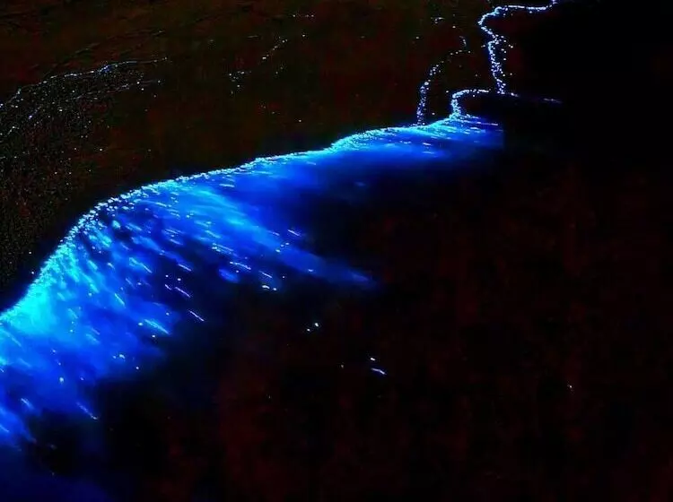 پانسیون Ocean Pearl Maldives At Gulhi Island