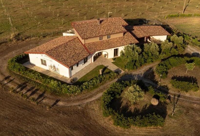 ホテル Agriturismo Sa Scalitta