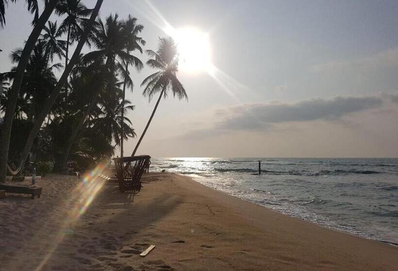 בית מלון כפרי Cool Beach