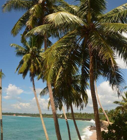 בית מלון כפרי Cool Beach