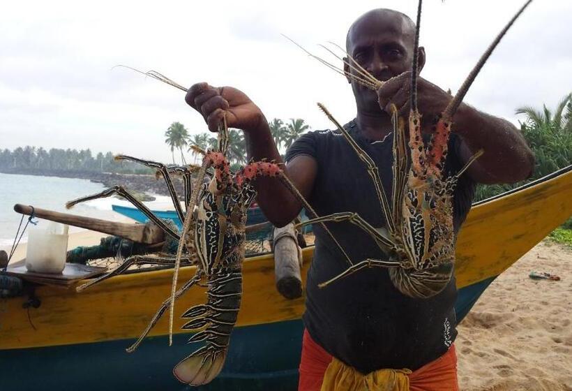 בית מלון כפרי Cool Beach