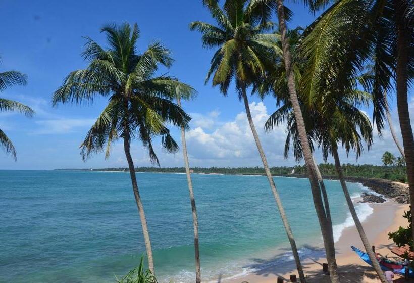 בית מלון כפרי Cool Beach