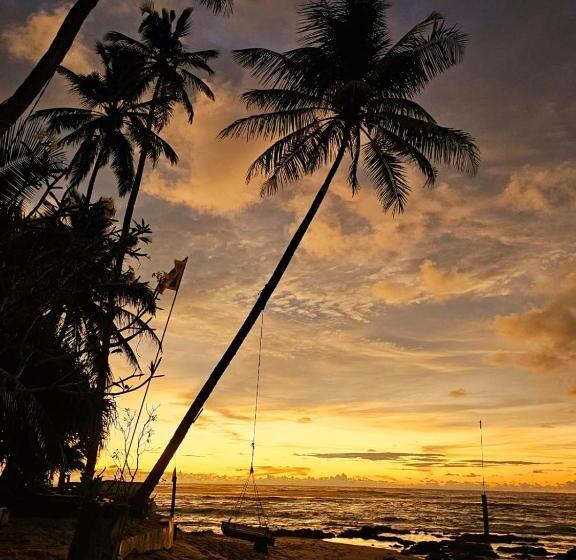 בית מלון כפרי Cool Beach