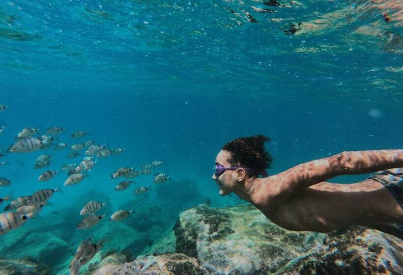 پانسیون Casa Senador