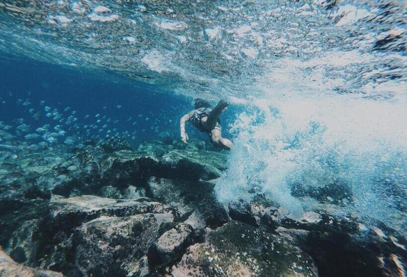 پانسیون Casa Senador