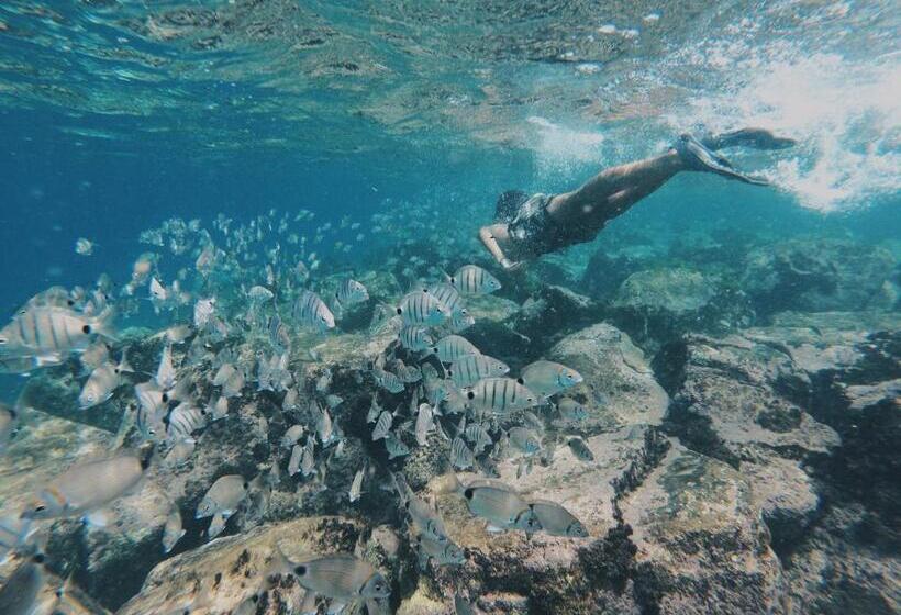 پانسیون Casa Senador