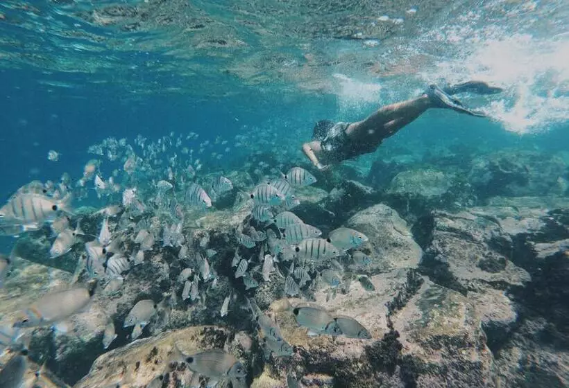 پانسیون Casa Senador