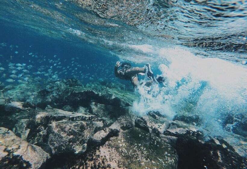 پانسیون Casa Senador