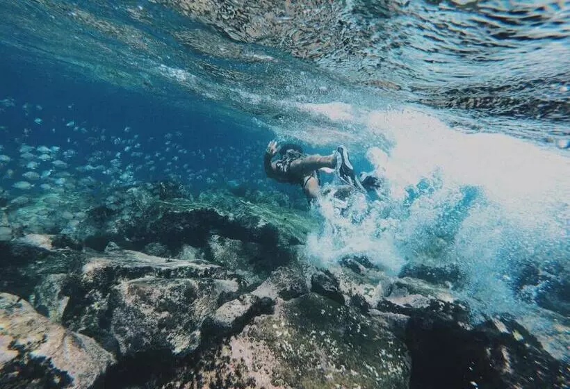 پانسیون Casa Senador