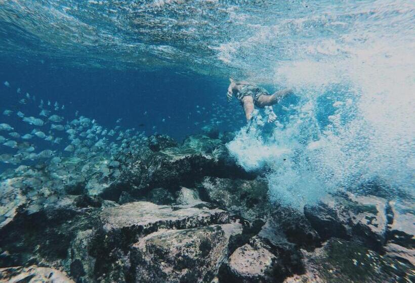 پانسیون Casa Senador