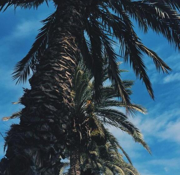 پانسیون Casa Senador