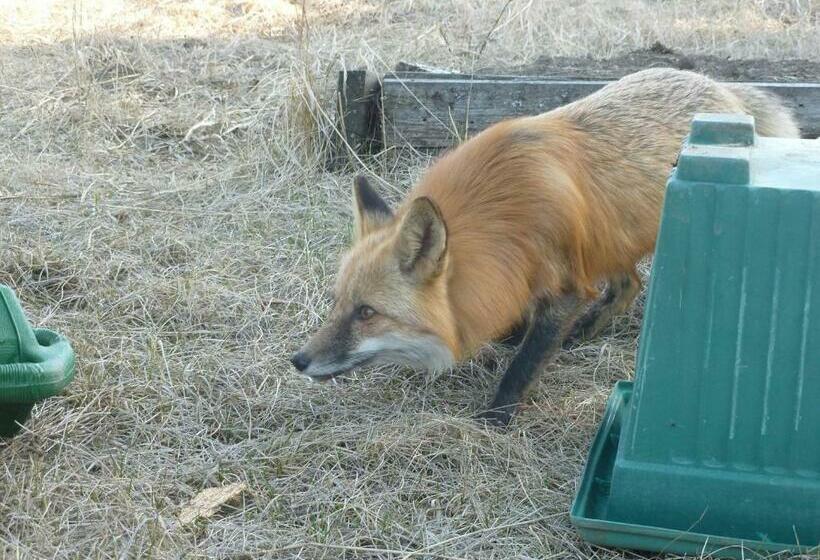 The Cozy Cubbyhole B&b