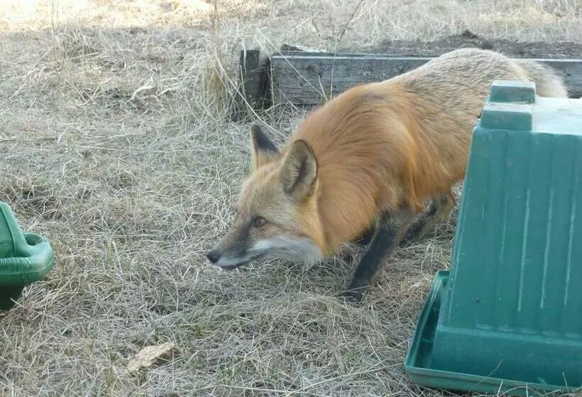 The Cozy Cubbyhole B&b