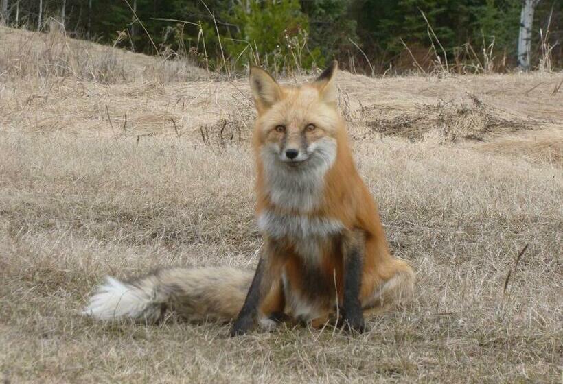 The Cozy Cubbyhole B&b