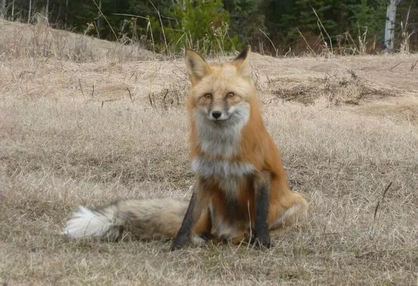 The Cozy Cubbyhole B&b