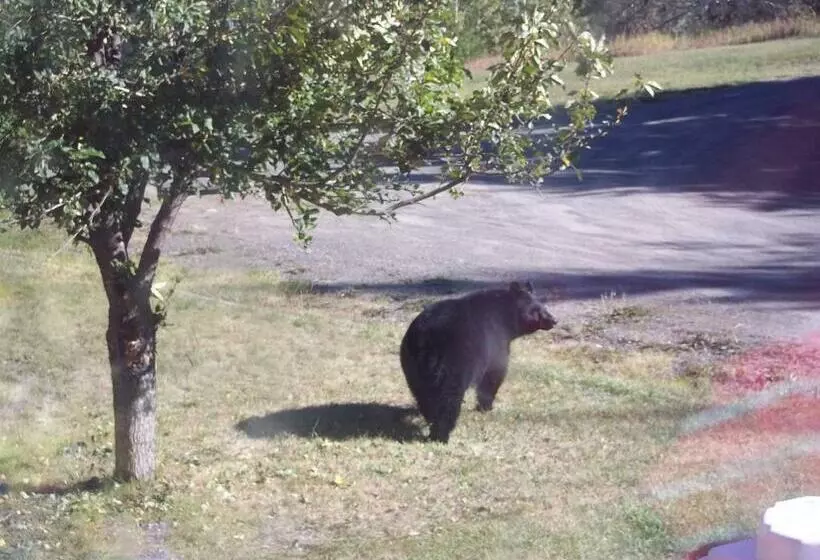 The Cozy Cubbyhole B&b