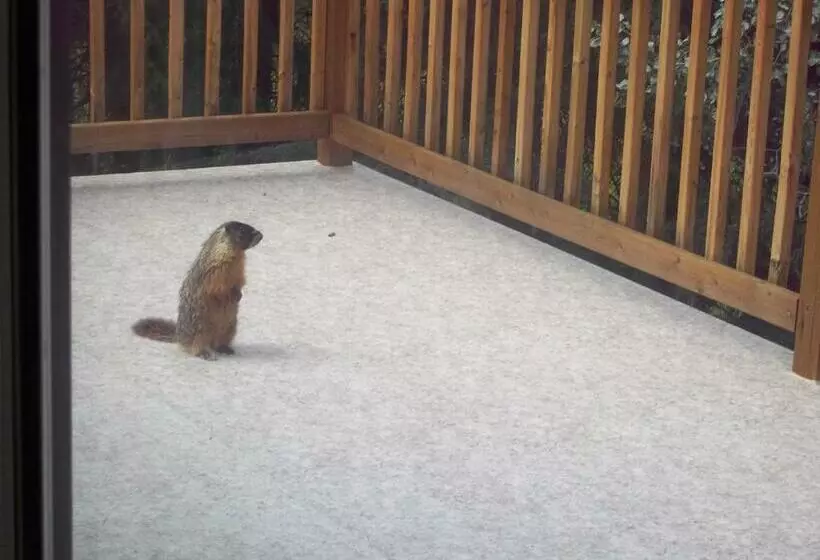 The Cozy Cubbyhole B&b