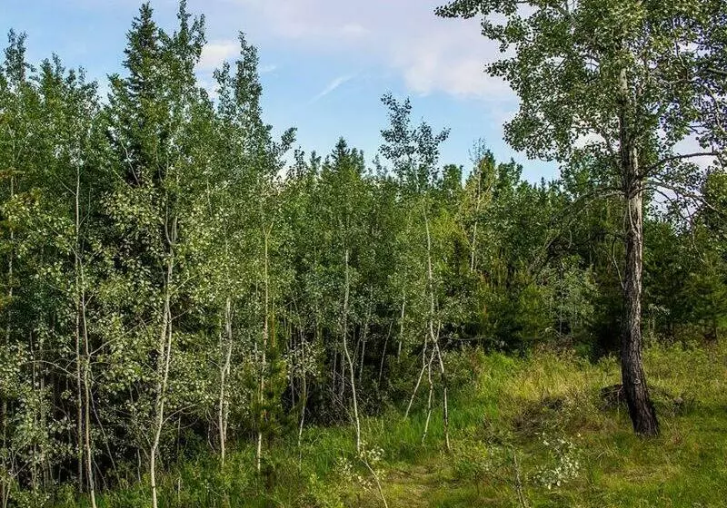 The Cozy Cubbyhole B&b