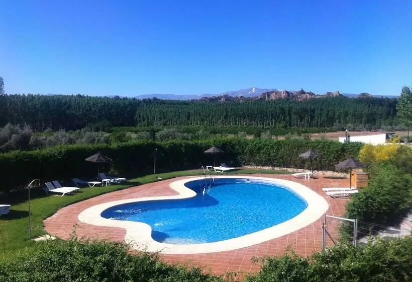 Cuevas Hammam Abuelo José