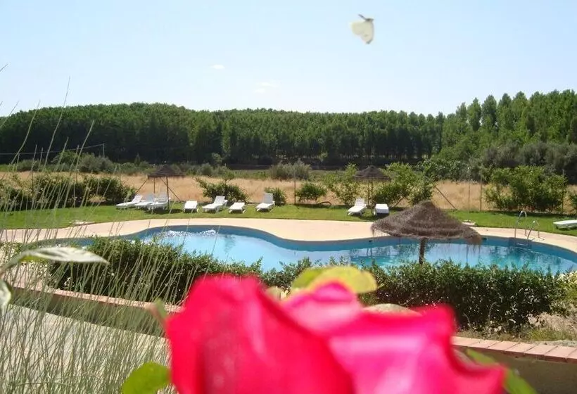 Cuevas Hammam Abuelo José