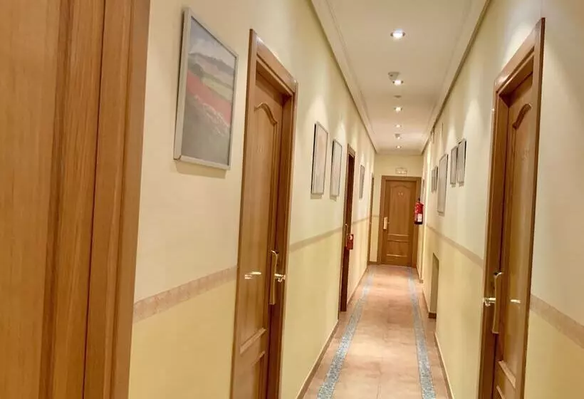 مسافرخانه Luz Madrid Rooms