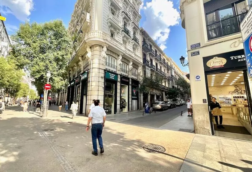 مسافرخانه Luz Madrid Rooms